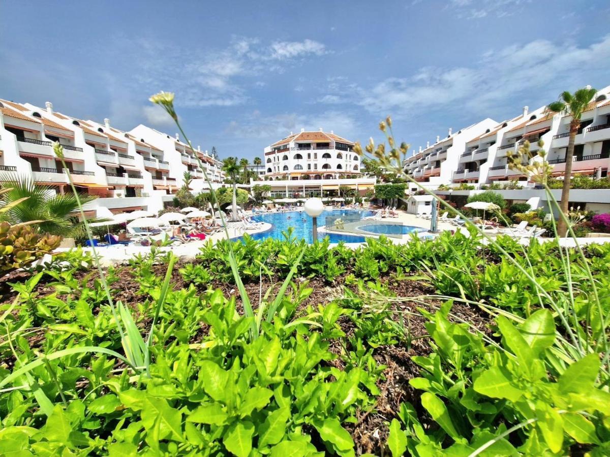 Parque Santiago 1 F-348 By Tenerife Dream Properties Playa de las Américas Eksteriør billede